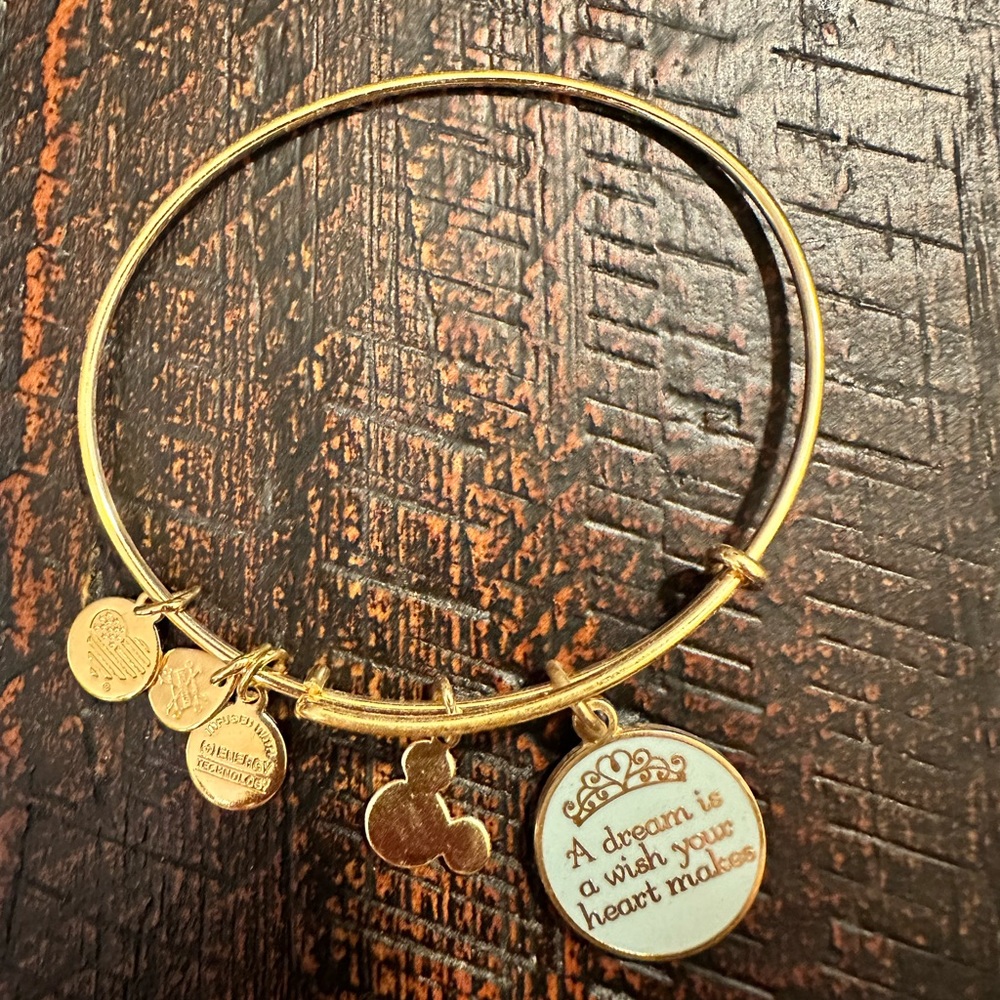 Alex and Ani Disney Shiny Gold A Dream Is A Wish Your Heart Makes Charm Bracelet